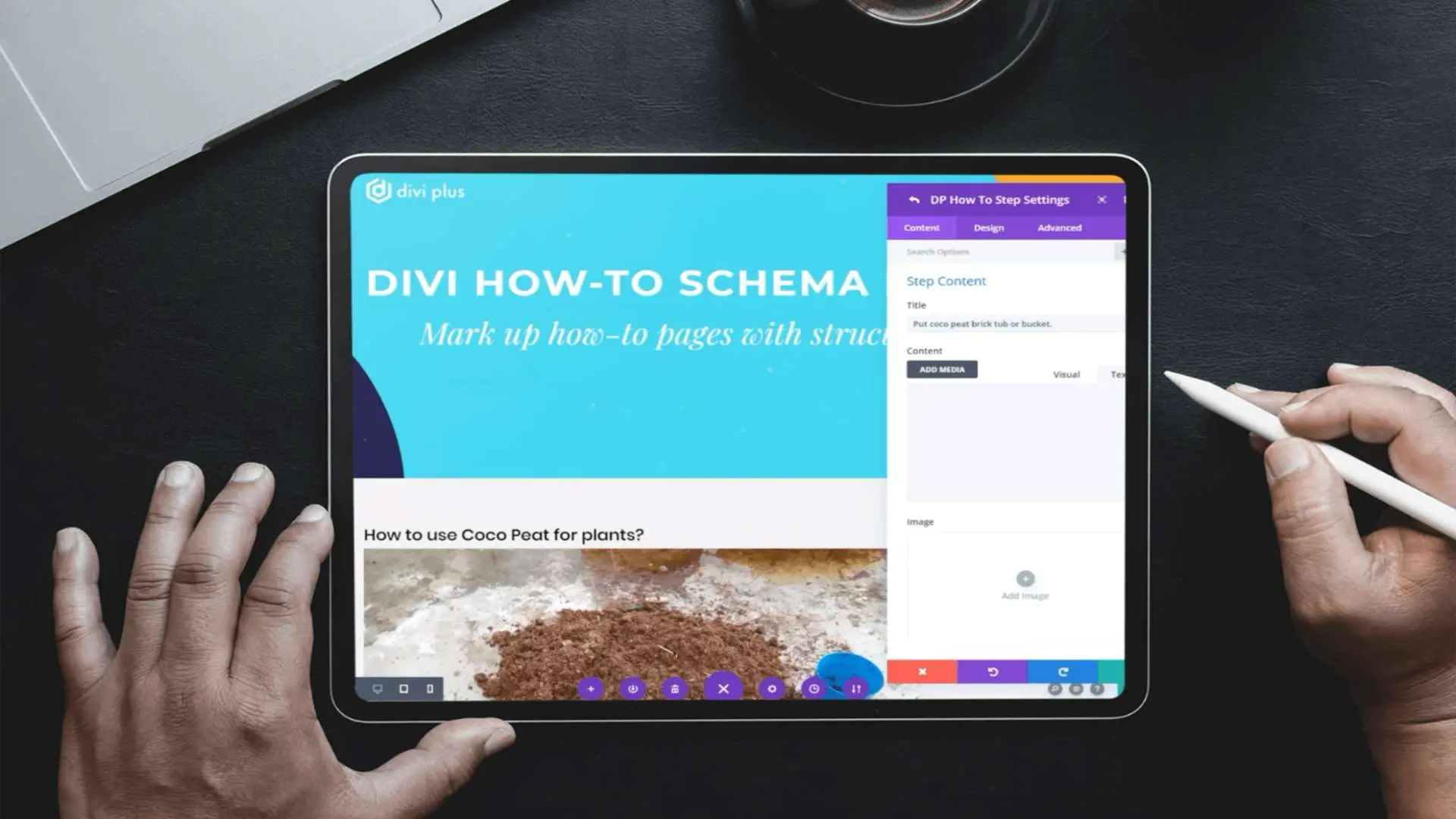 Divi Plus how to schema module and its features