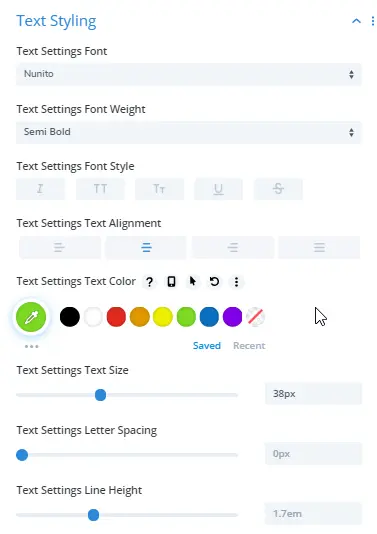 Divi separator text styling option