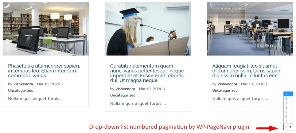 Drop-down list numbered pagination by WP-PageNavi plugin