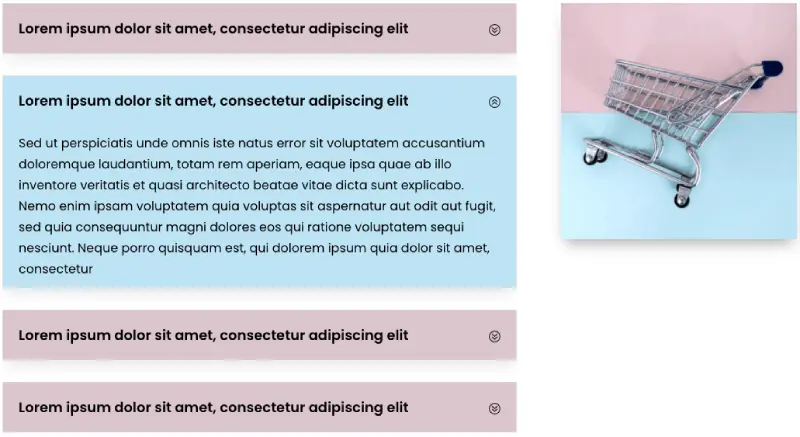 FAQPage Schema example for Divi