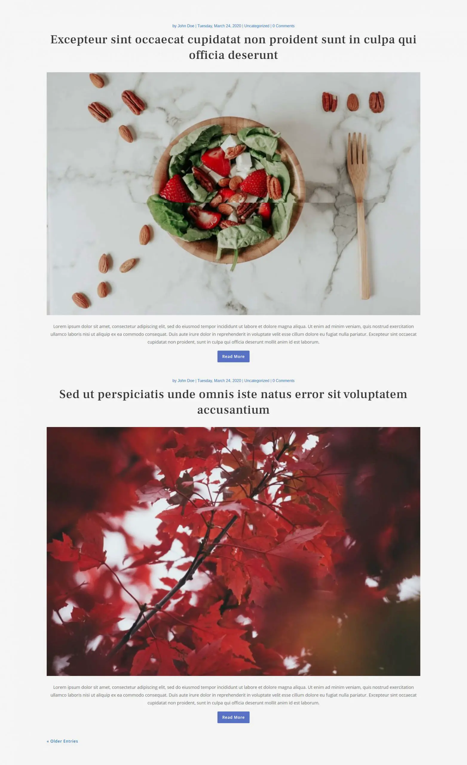 Free Divi blog layout 1