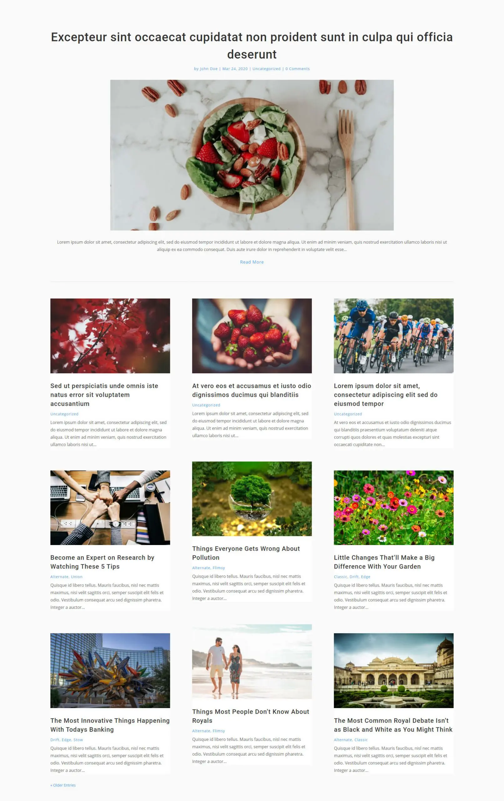 Free Divi blog layout 2