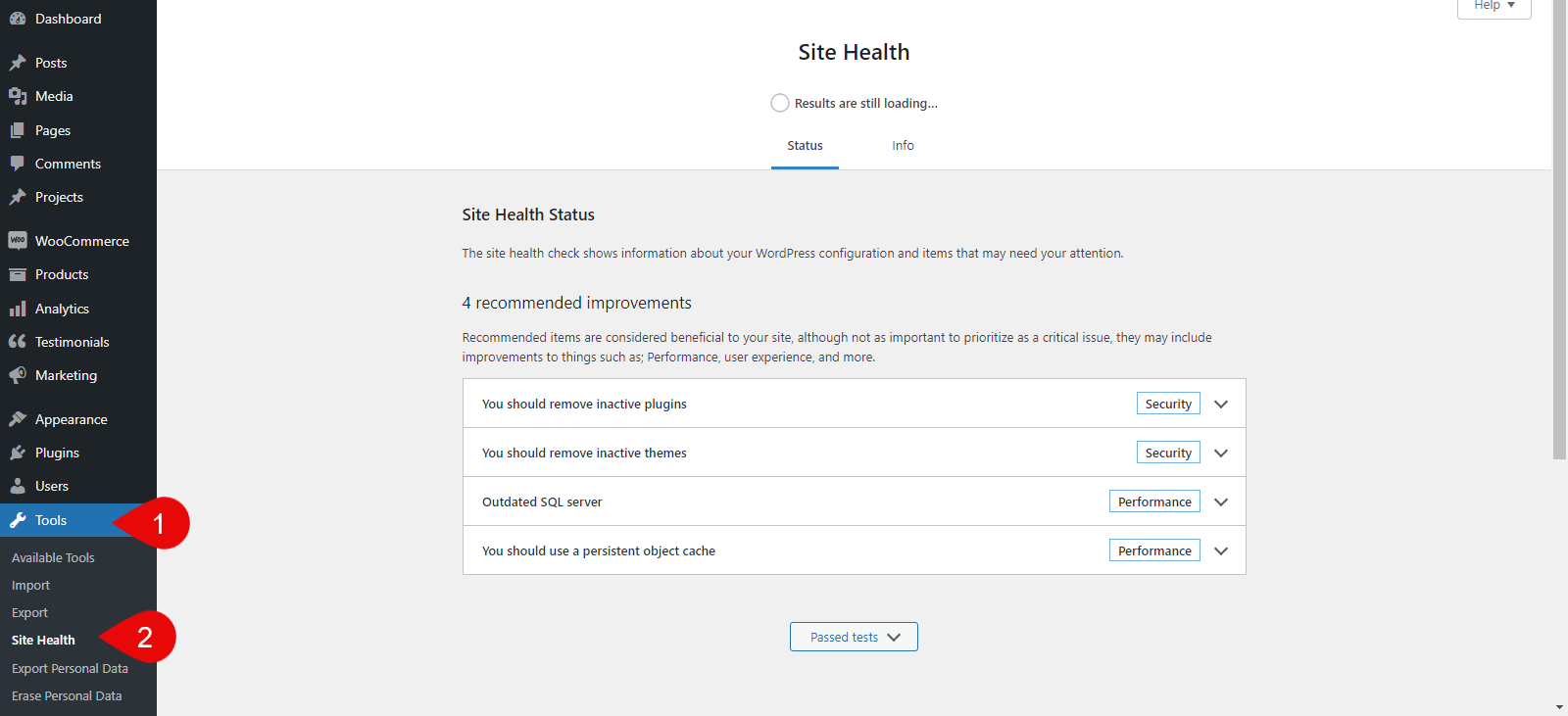 Site Health functionality of WordPress to check website errors.