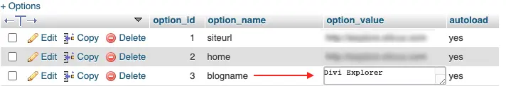 Changing WordPress site title through server end