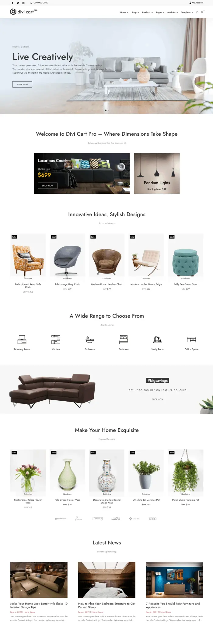 Divi Cart Pro decor homepage