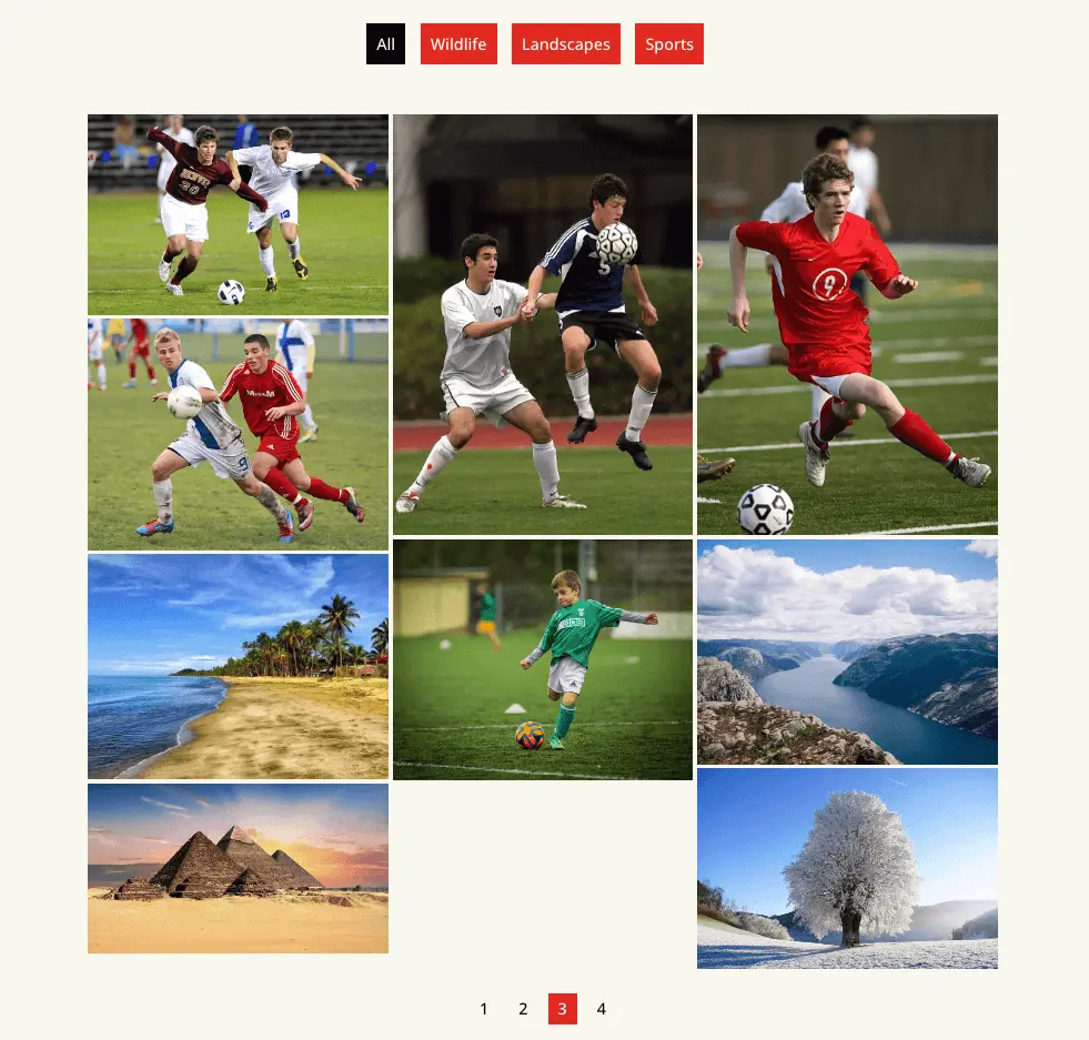 Divi filterable image gallery example 2