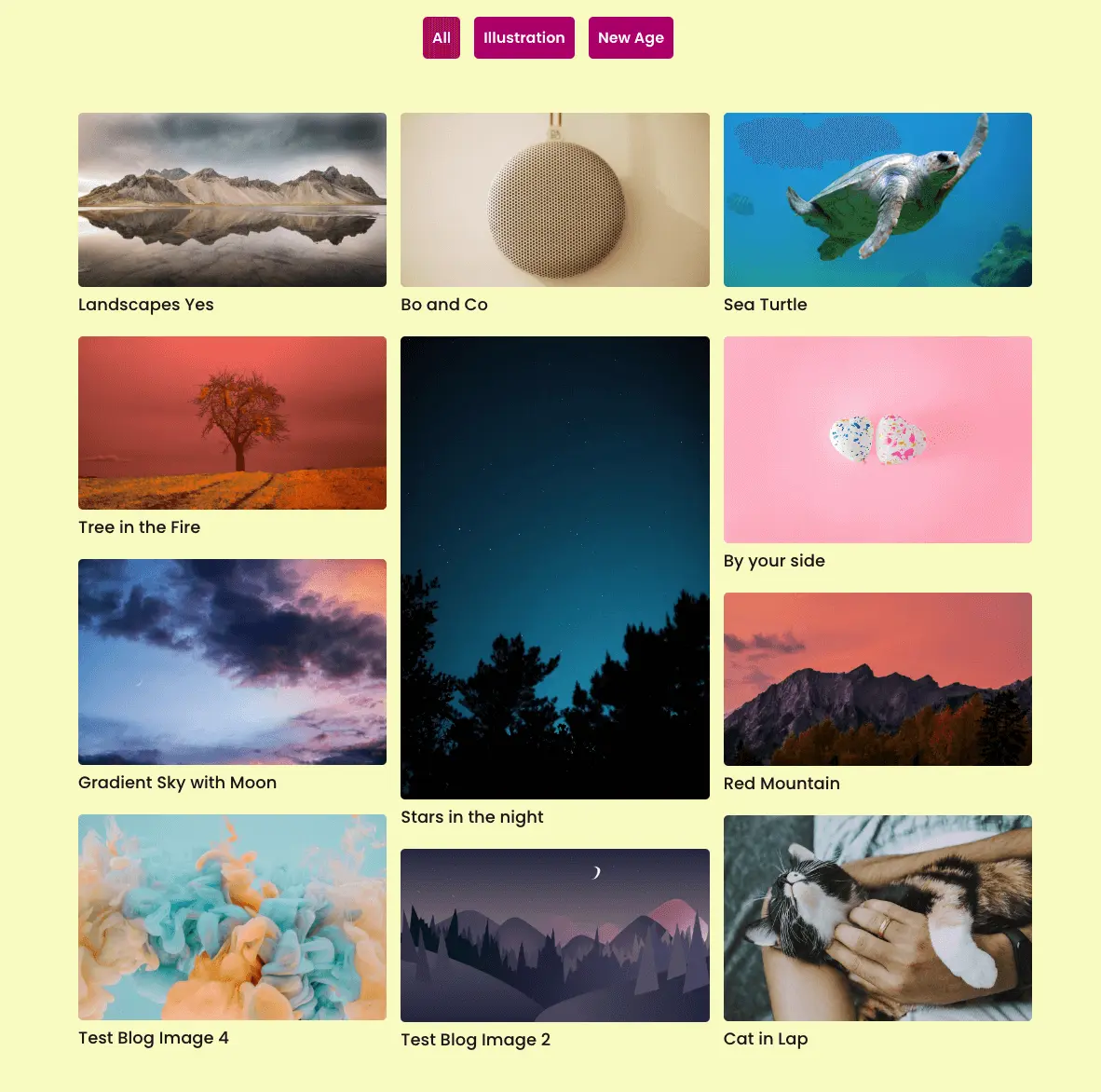 Divi filterable image gallery example 4