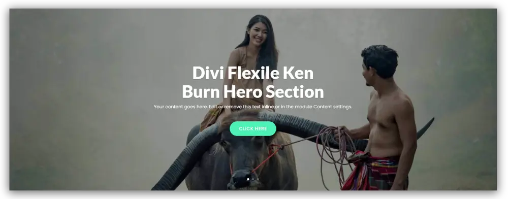 Divi Flexile hero section (Ken Burn Effect)