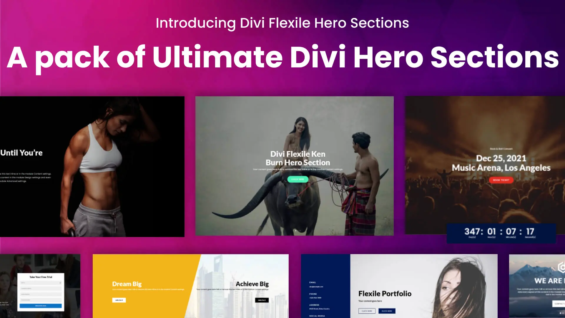 Divi Flexile Hero Sections