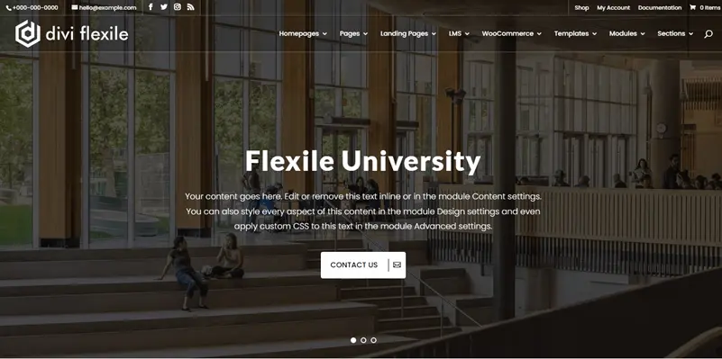 Divi Flexile University child theme