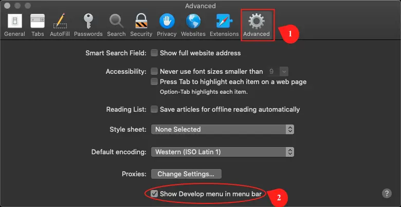 Enabling develop option in Safari browser