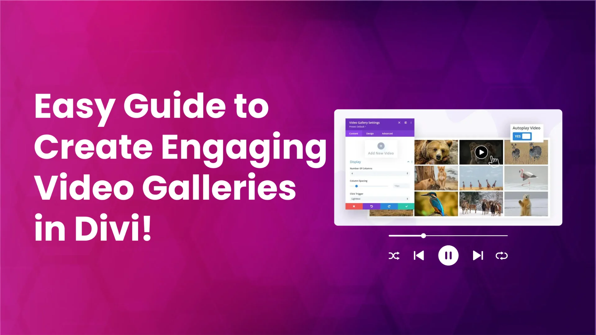 Guide on creating video gallery in Divi