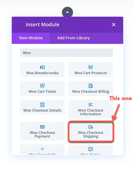 Woo Checkout Shipping Divi WooCommerce module