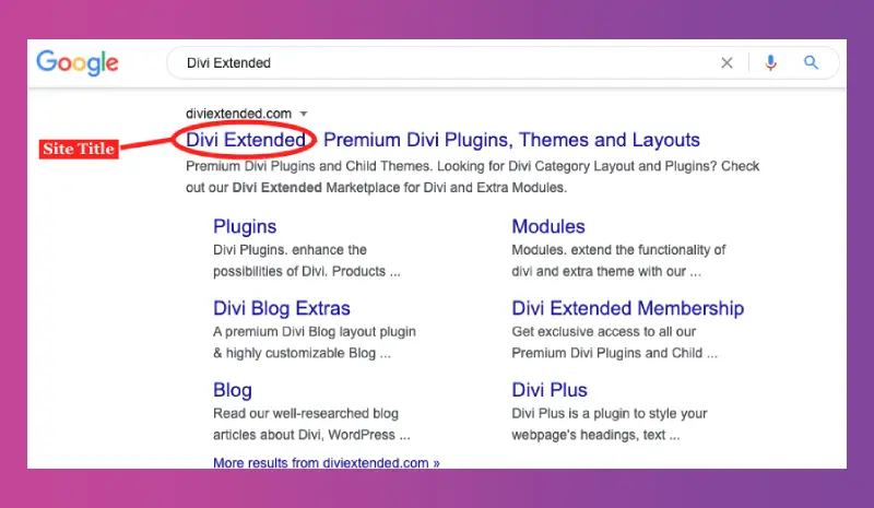 WordPress site title in Google search