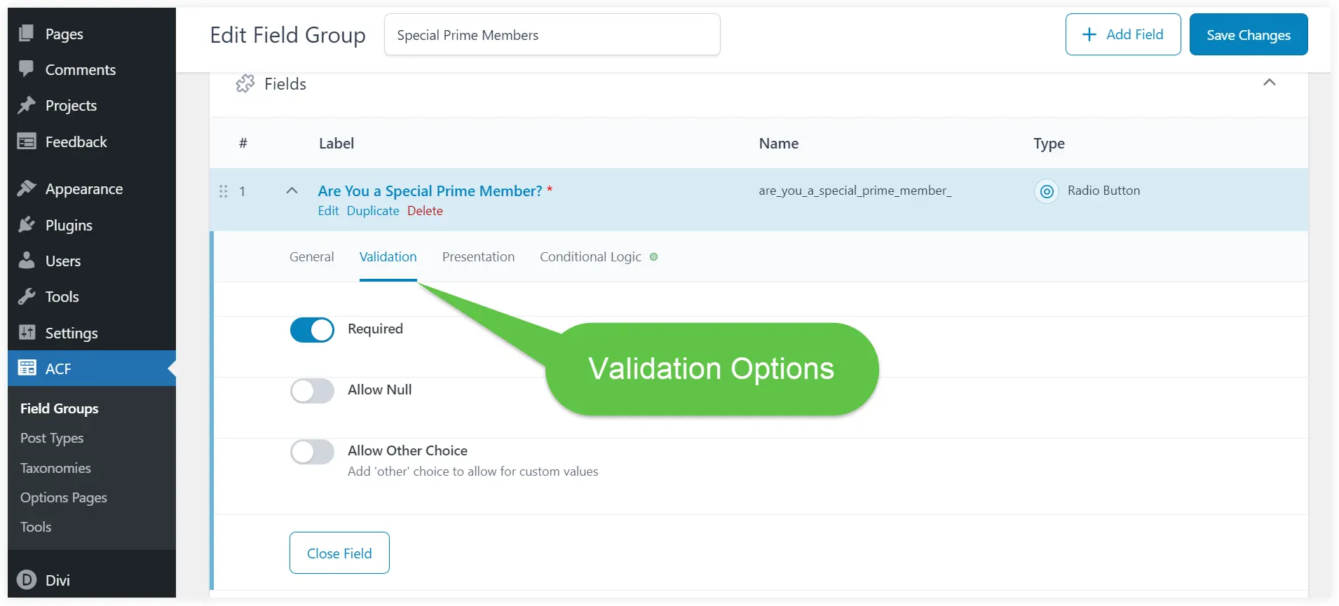 Configure validation options in ACF custom fields 