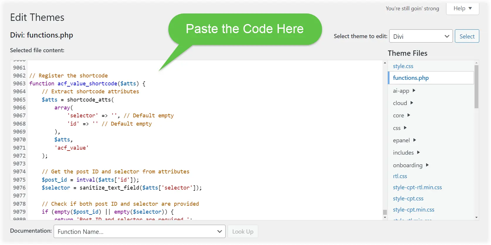 ACF custom fields in functions.php