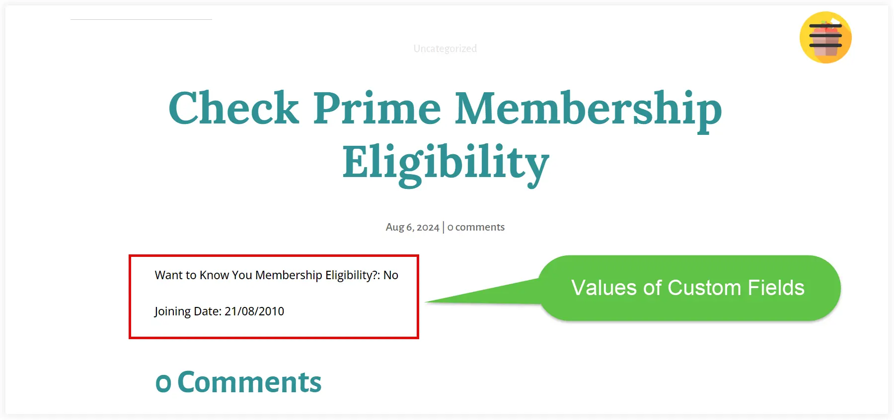 Display ACF custom field with Divi module