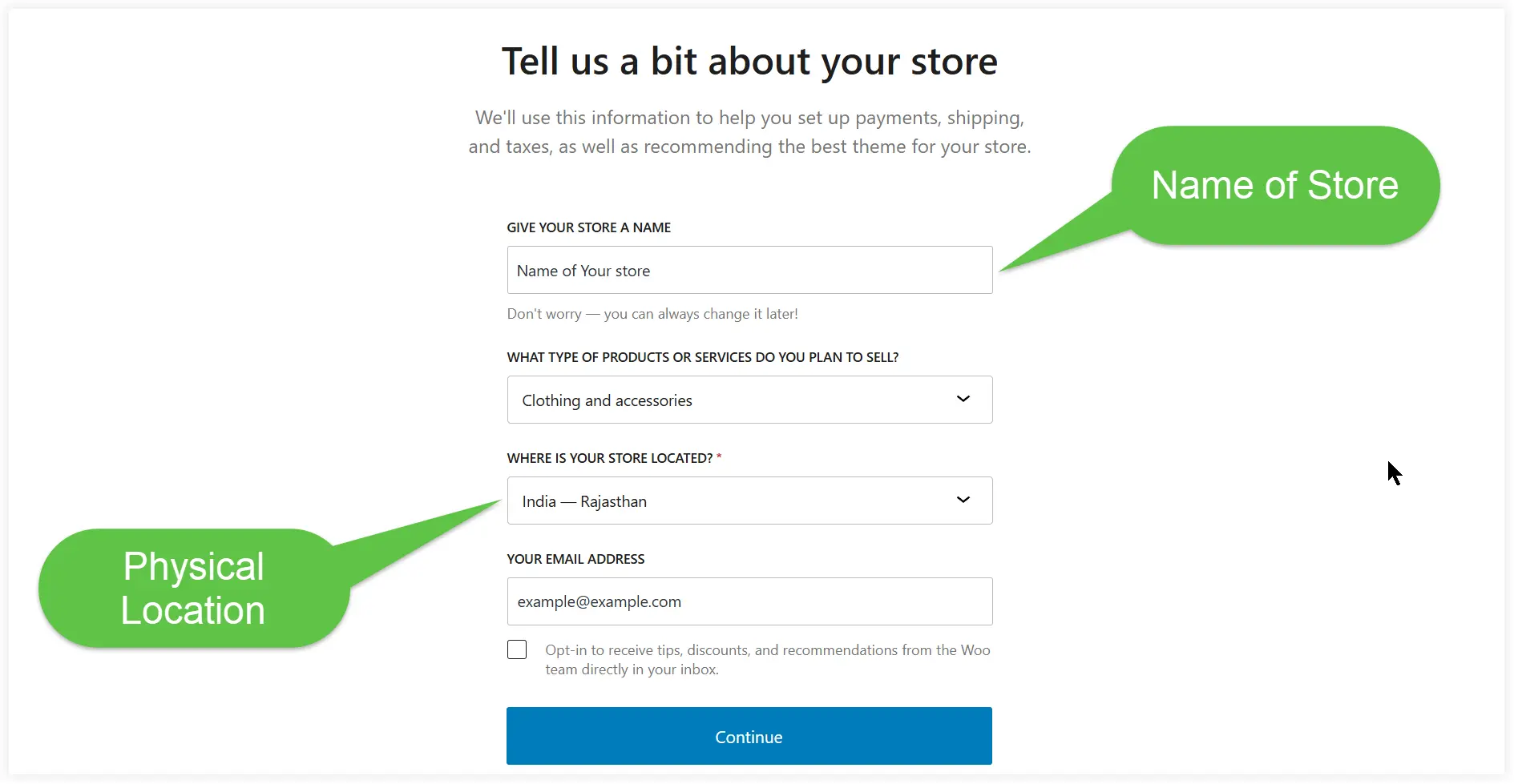 Select type of WooCommerce store