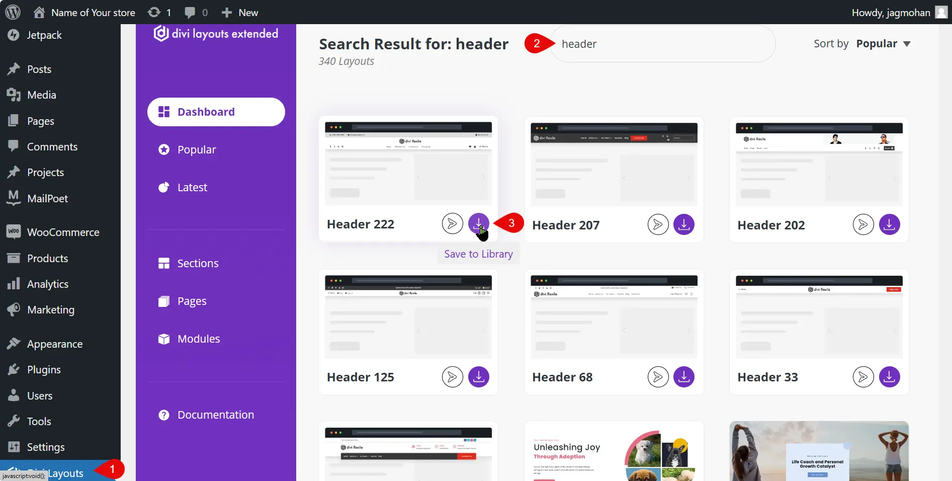 Select Divi eCommerce menu headers