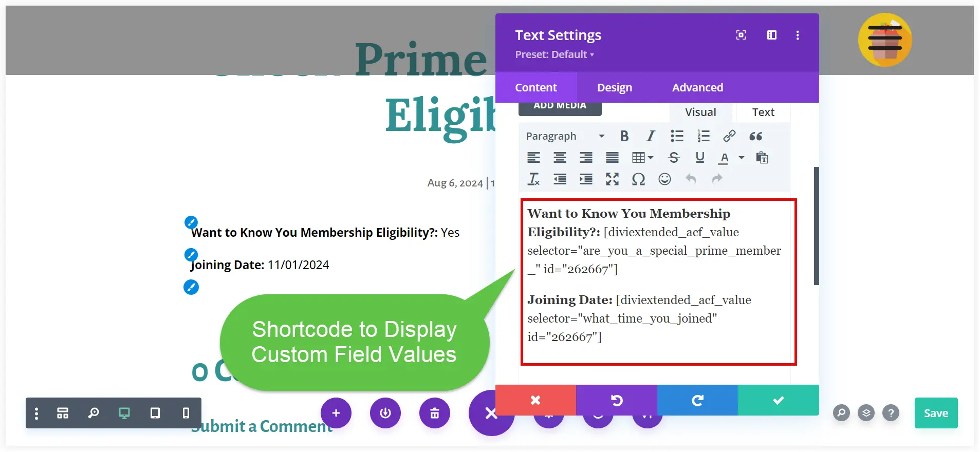 Display ACF custom field in Divi modules