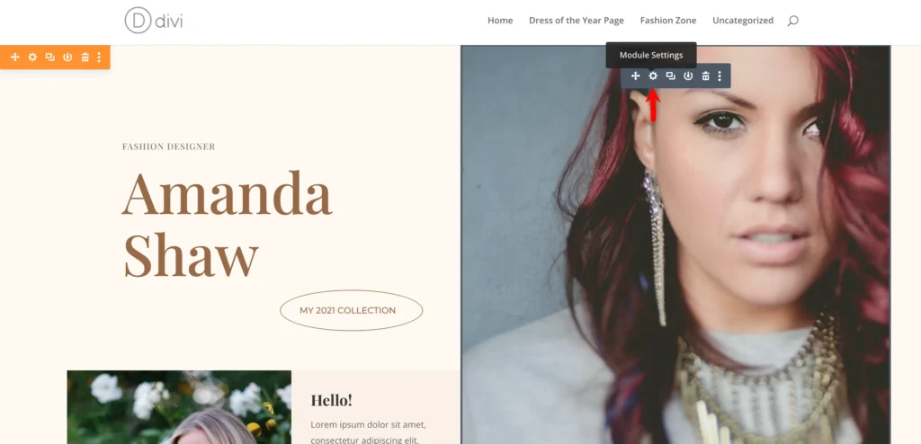 Divi fashion blog module settings