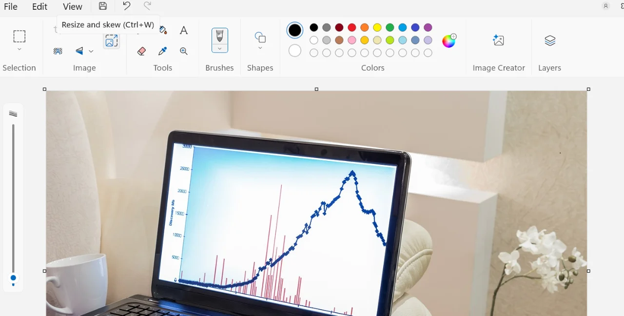 Using paint for the image optimization.