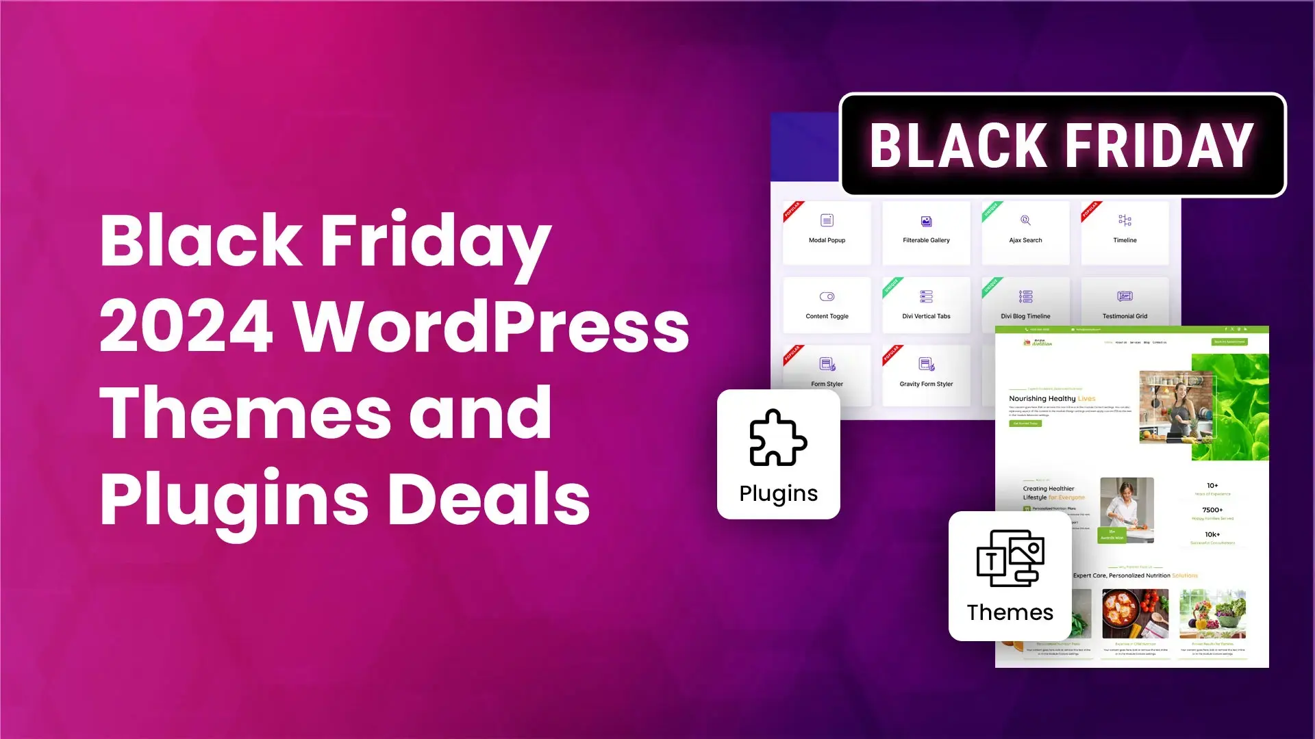 Black Friday 2024 WordPress Themes and Plugins Deals