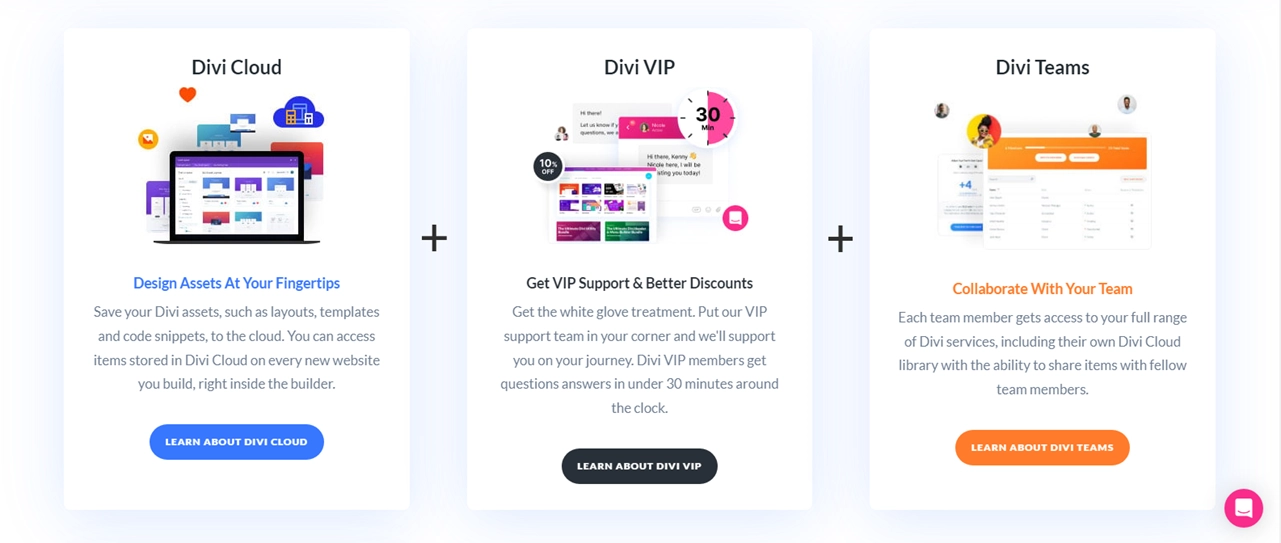 Divi Pro services.