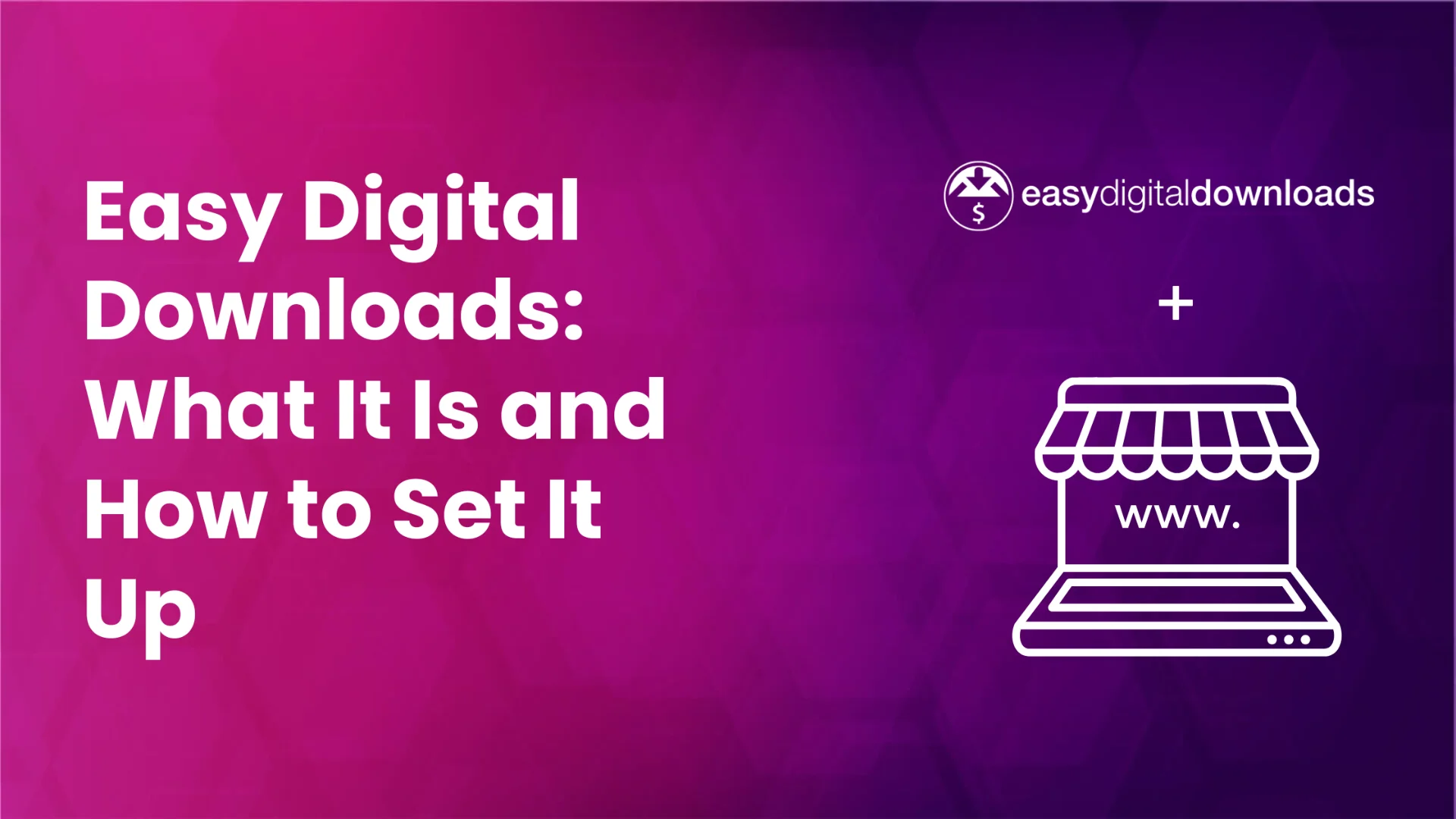 guide on Easy Digital Downloads plugin