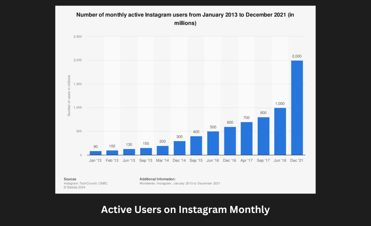 Instagram users data.