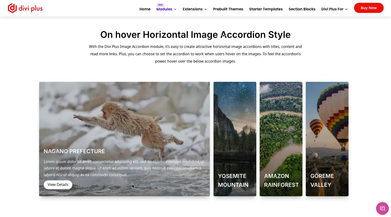 Divi Plus image accordion module