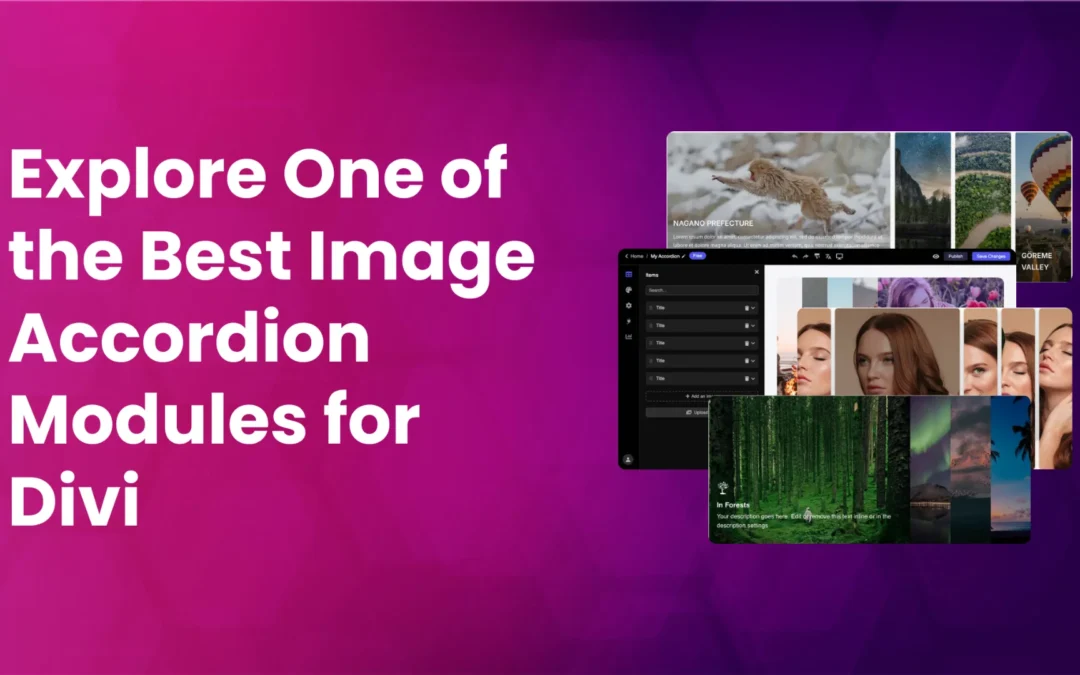 Top 9 Image Accordion Modules for Divi in 2025