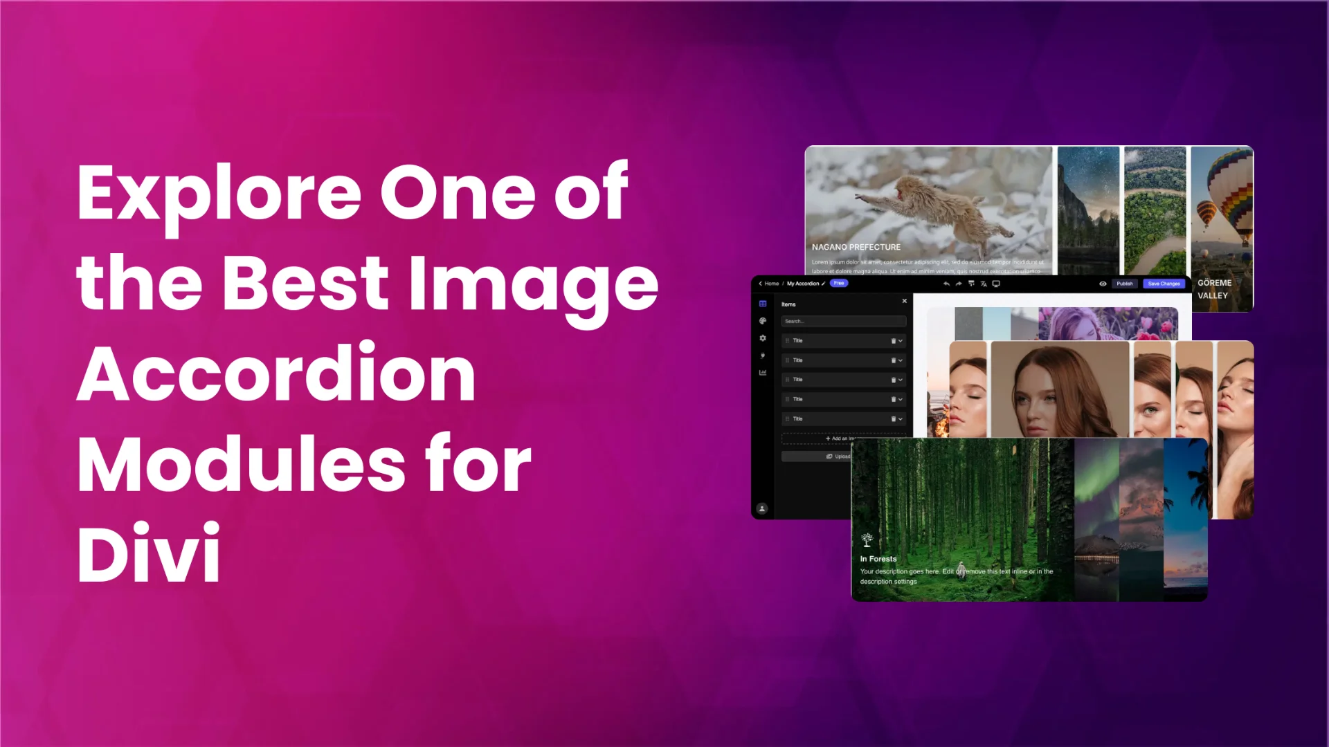 Top image accordion modules for divi