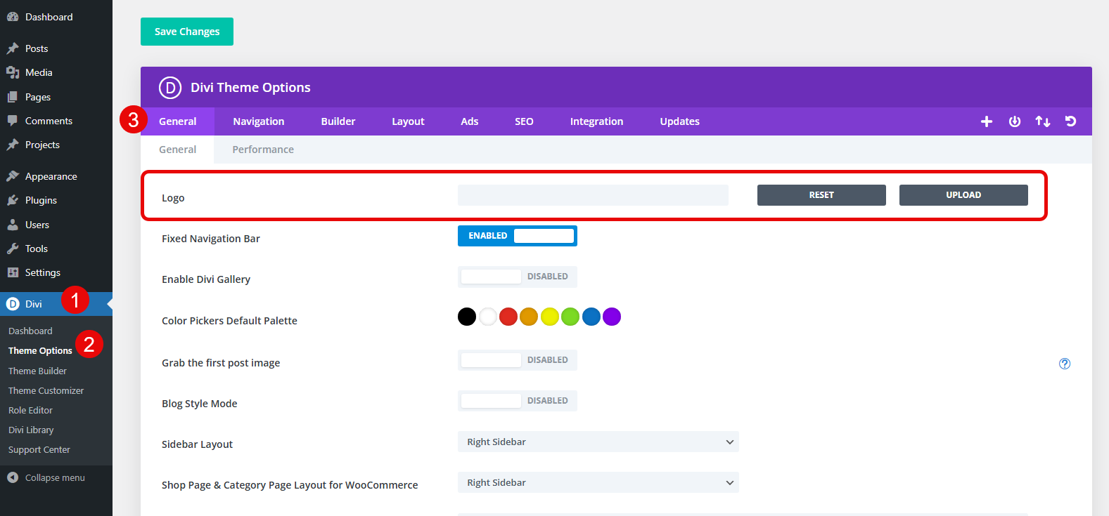 Accessing Divi logo options