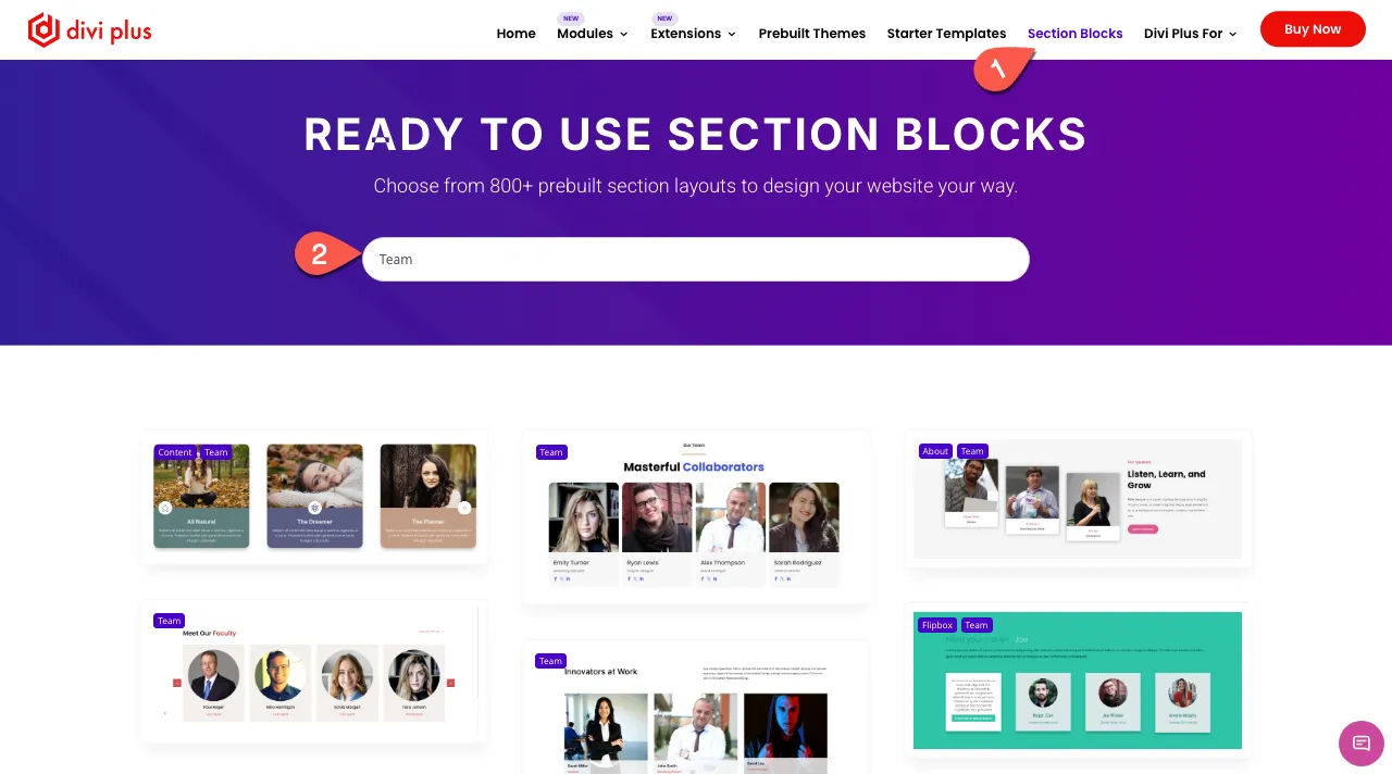 Divi Plus Team Grid Templates