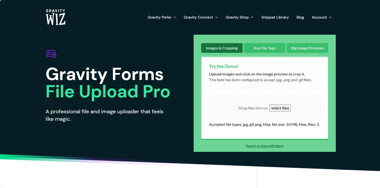 GRAVITY WIZ Gravity Forms File Upload Pro plugin.