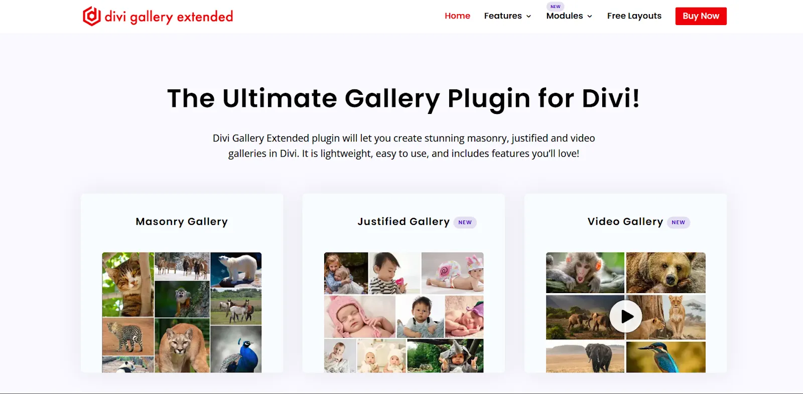 Gallery Extended, best Divi plugin for Image and Video galleries