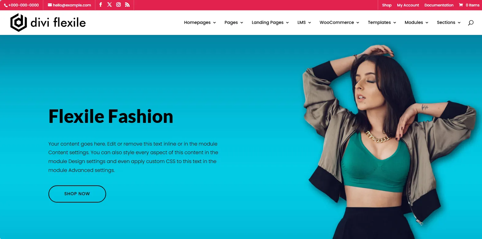 Divi Flexile WooCommerce homepage
