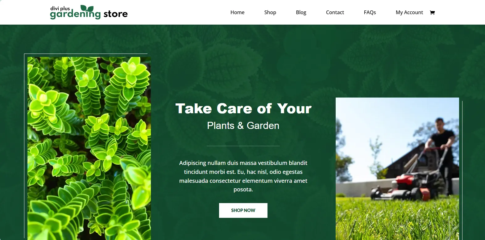 Gardening store Divi Plus theme