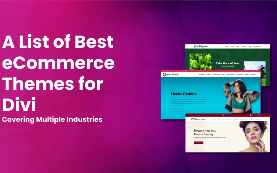 15+ Best Divi eCommerce Themes for 2025 (Free and Paid)