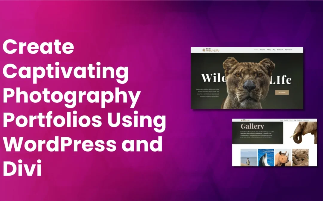 How to Showcase Photography With a Stunning Website Built on WordPress and Divi in 2025