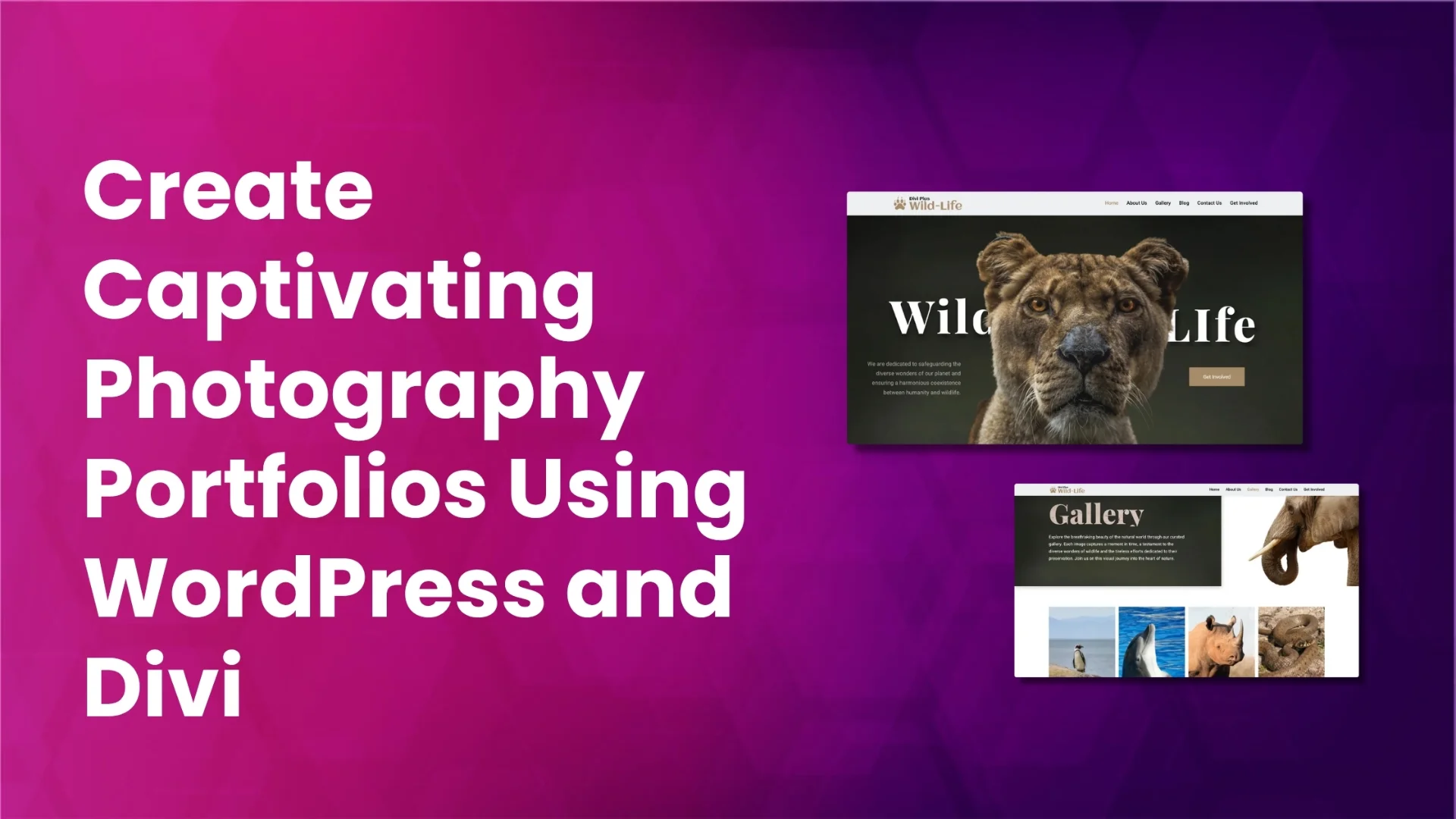 Step-by-step guide on creating a photography website with Divi