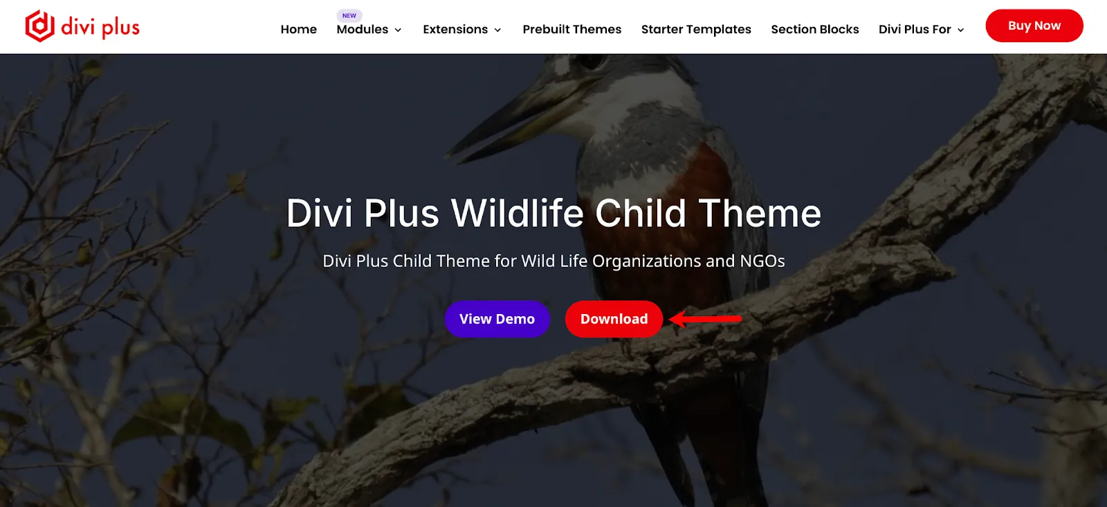 Divi Plus Wildlife Child Theme information page.