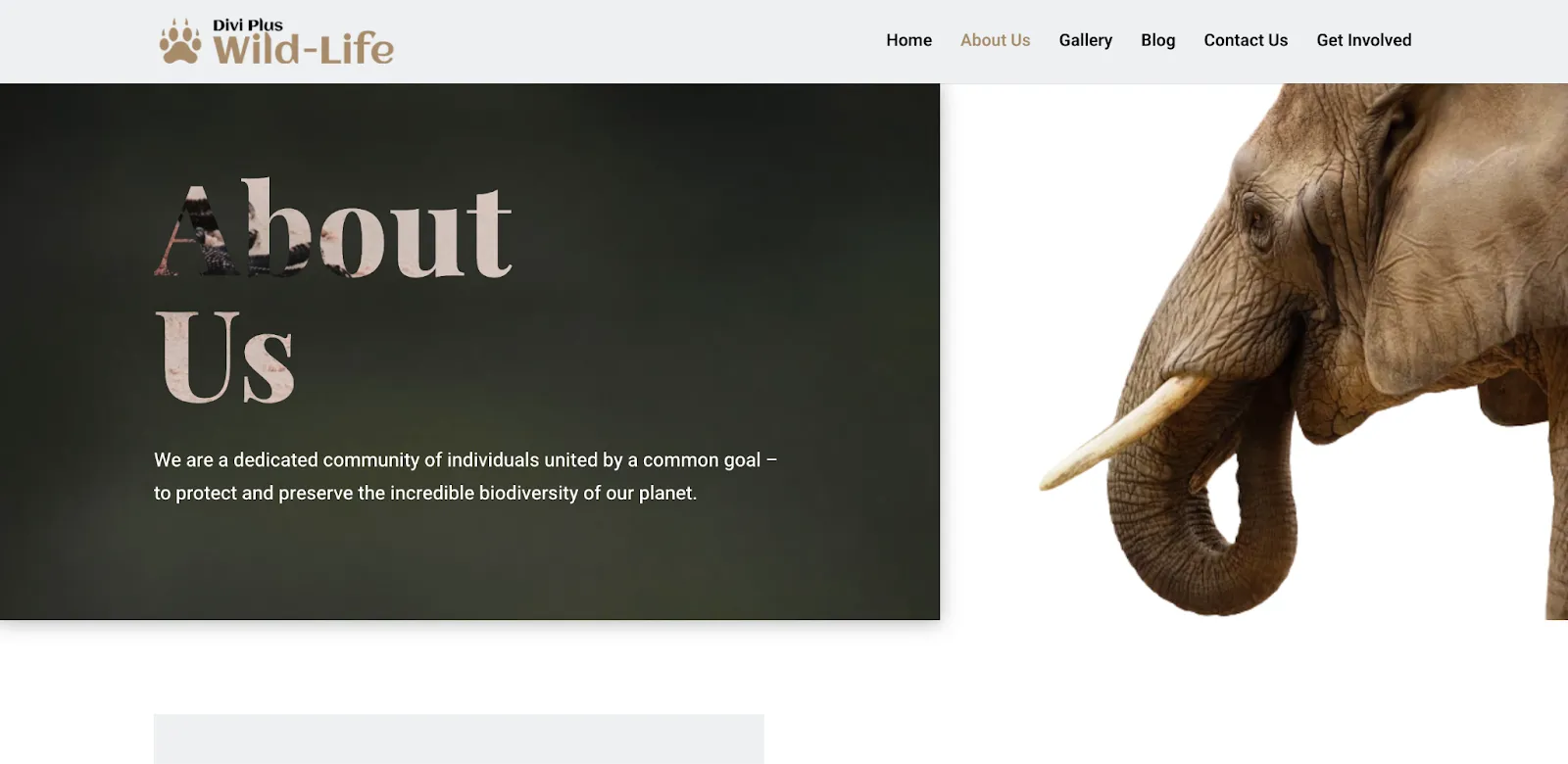 Wildlife child theme for Divi with About us page