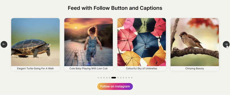 Demonstration of Instagram feed silder for Divi theme