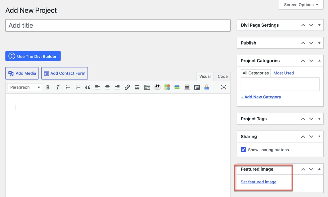 Display projects using divi Blog Extras