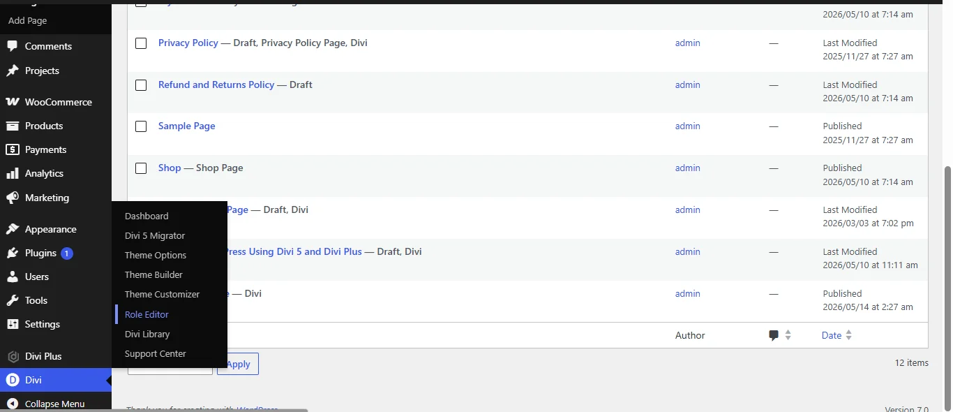 Role Editor menu for the Divi in WordPress Dashboard.
