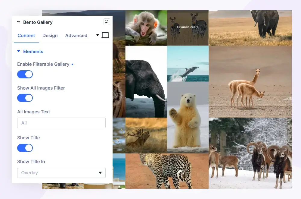 Divi bento gallery demonstration image