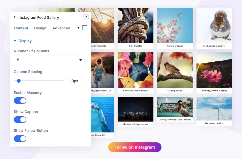 Demonstration of Divi Instagram feed gallery module
