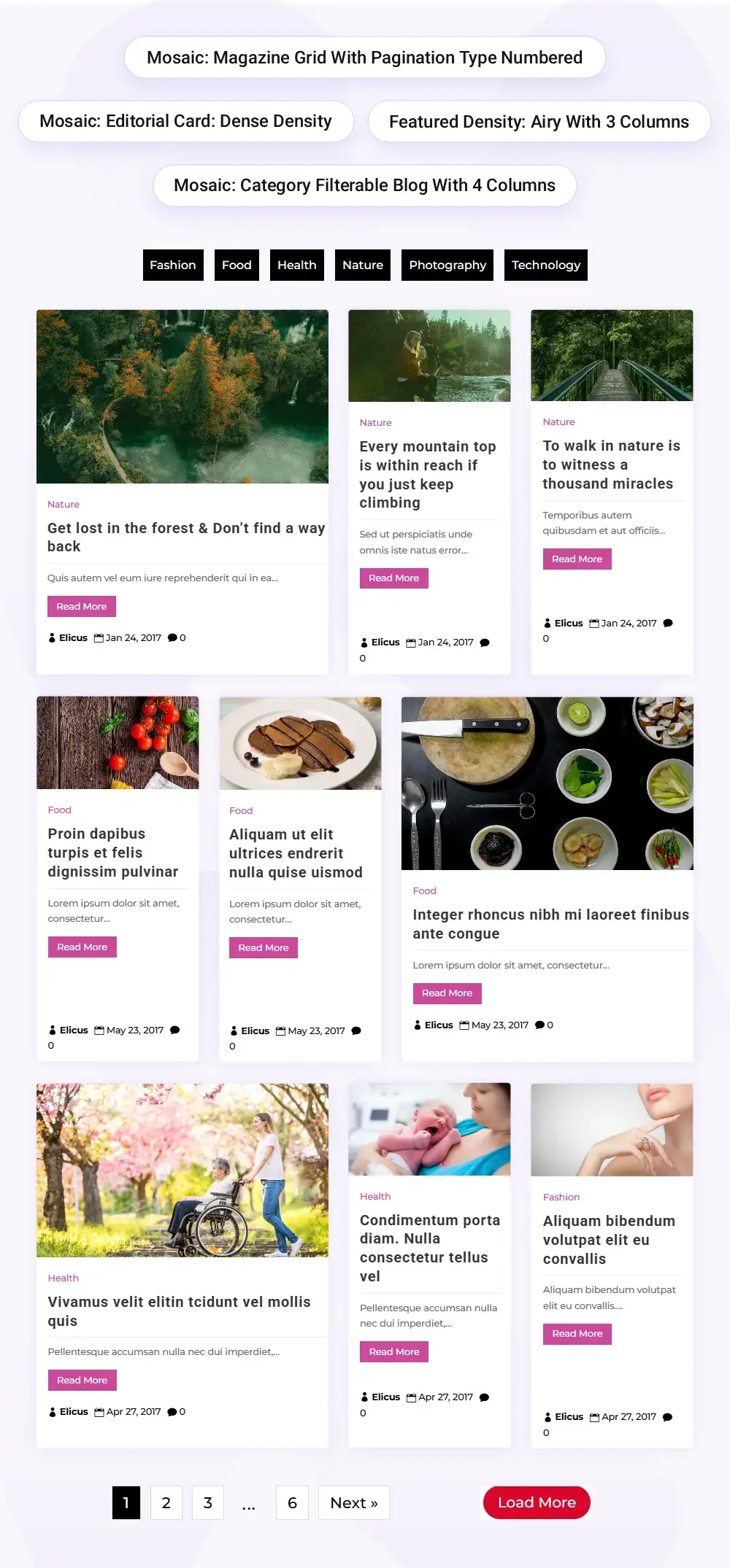 Divi mosaic blog demonstration image